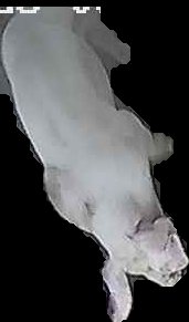 Crop