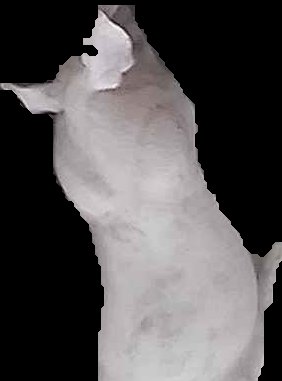 Crop