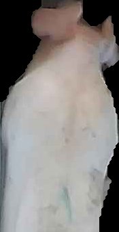 Crop