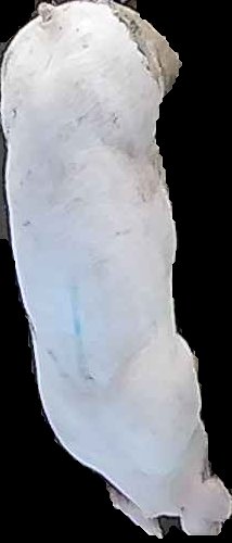 Crop