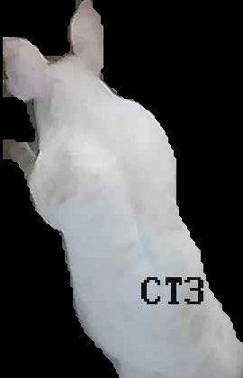 Crop