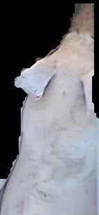 Crop