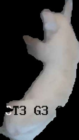 Crop