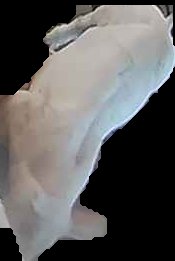Crop