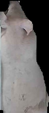 Crop