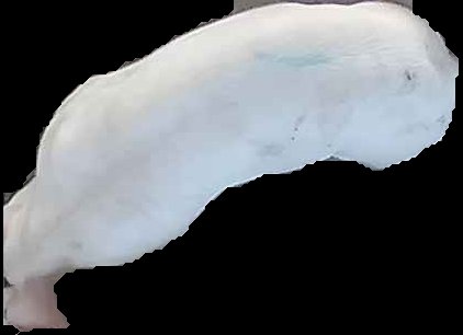 Crop