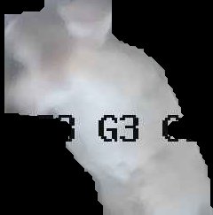 Crop