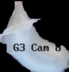 Crop