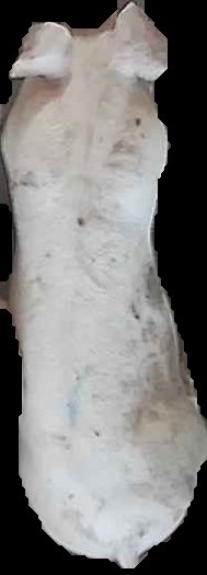 Crop