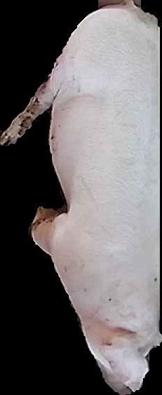 Crop