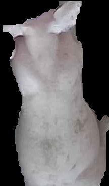 Crop