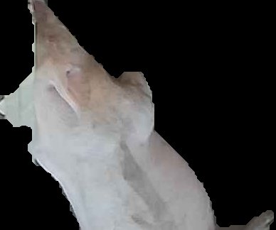Crop
