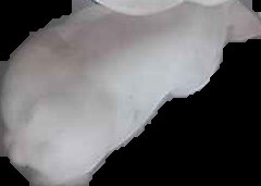 Crop