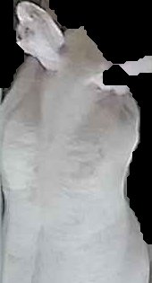 Crop