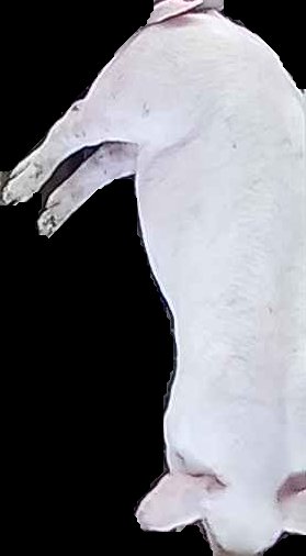 Crop