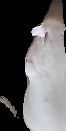 Crop