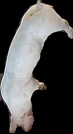 Crop