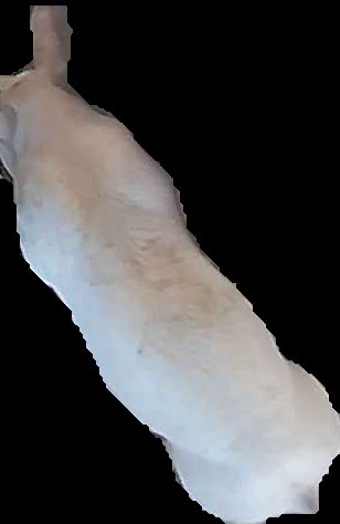 Crop