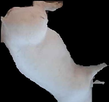 Crop