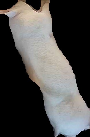 Crop