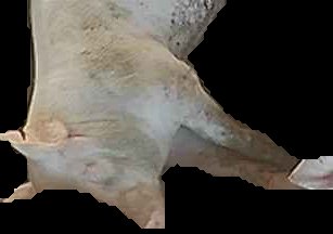 Crop