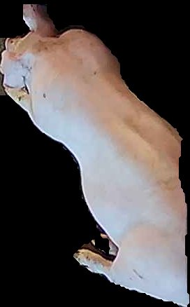 Crop