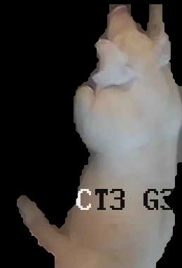 Crop