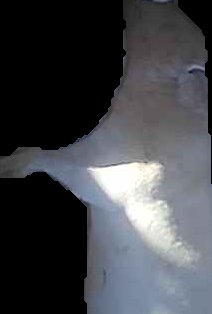 Crop