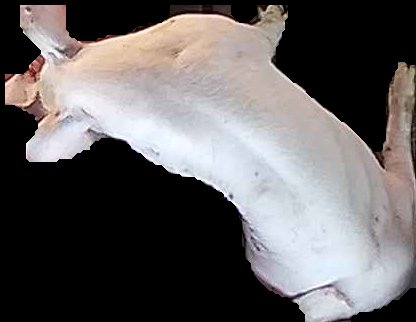 Crop