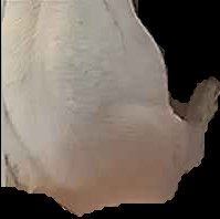 Crop