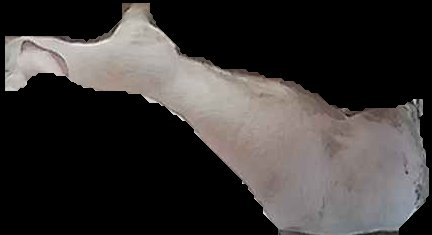 Crop