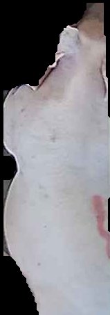 Crop