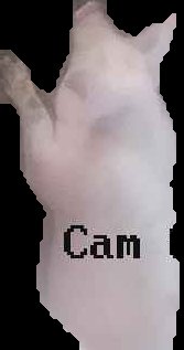 Crop