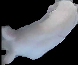 Crop