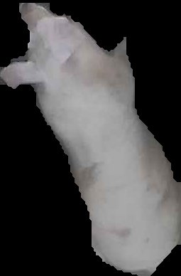 Crop