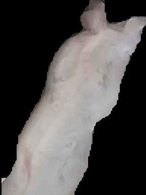 Crop