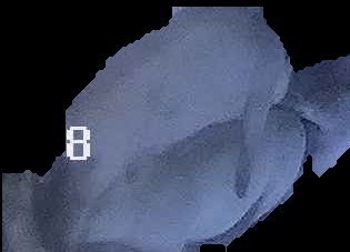 Crop