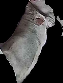 Crop