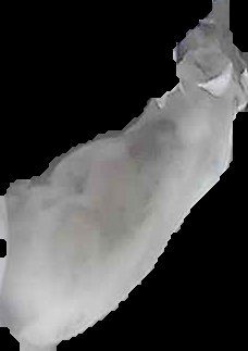 Crop