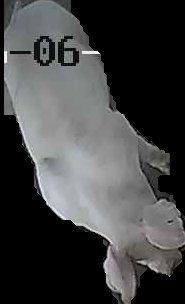 Crop