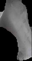 Crop
