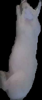Crop