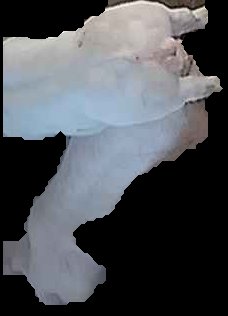 Crop