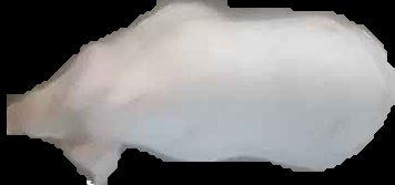 Crop