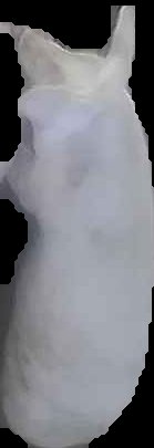 Crop