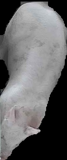 Crop
