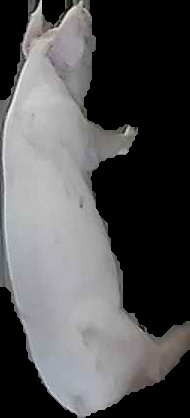 Crop