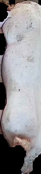 Crop