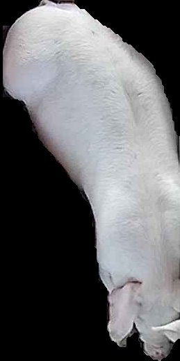 Crop