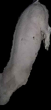Crop
